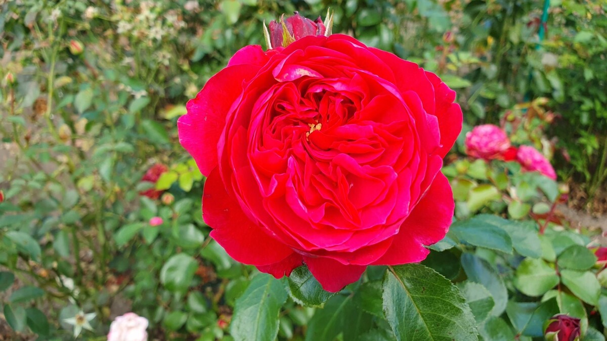     Источник: vostokmedia.com