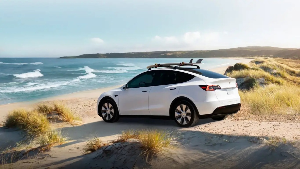 Фото Tesla  📷
