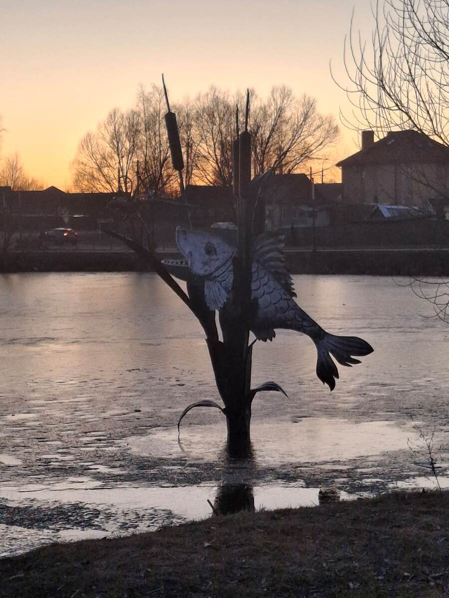 Фото автора канала