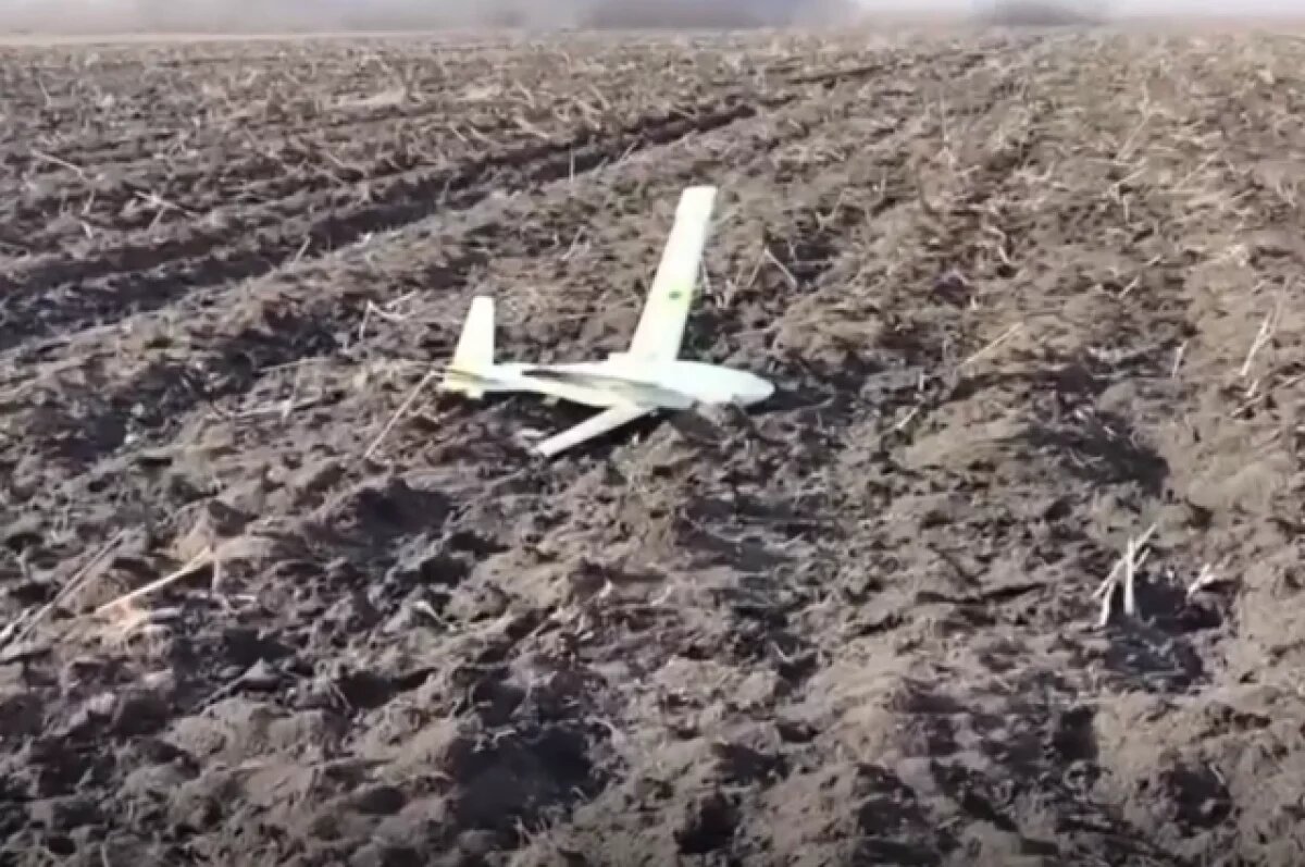    За неделю «Купол Донбасса» сорвал 198 атак беспилотников ВСУ