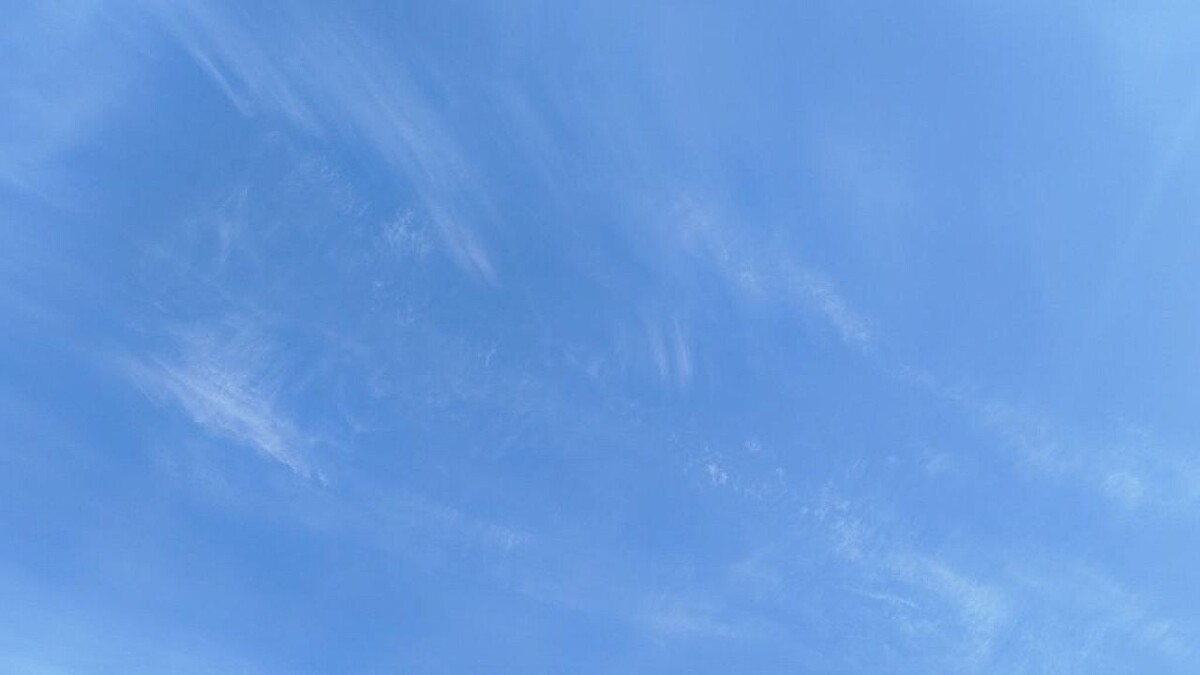    Фото: телеканал «Краснодар»