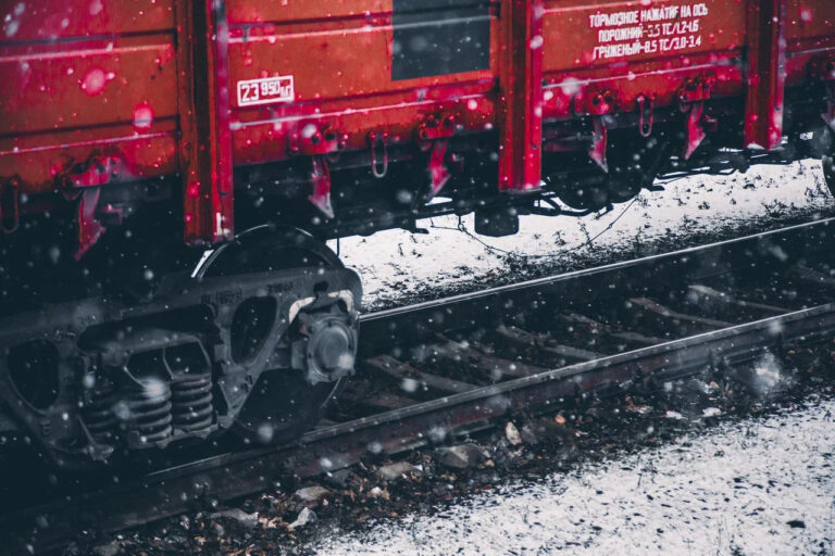    Фото: Общественная Служба Новостей Алина Лакшина