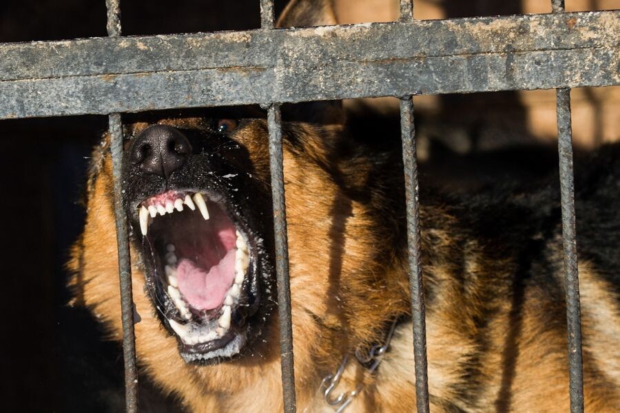     / Источник: © Кирилл Кухмарь/ТАСС