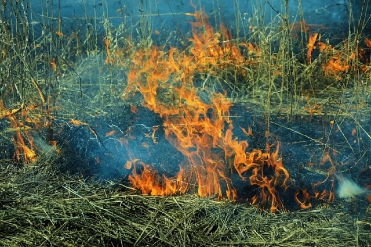    В Туапсинском районе тушат природный пожар на площади 11,7 га