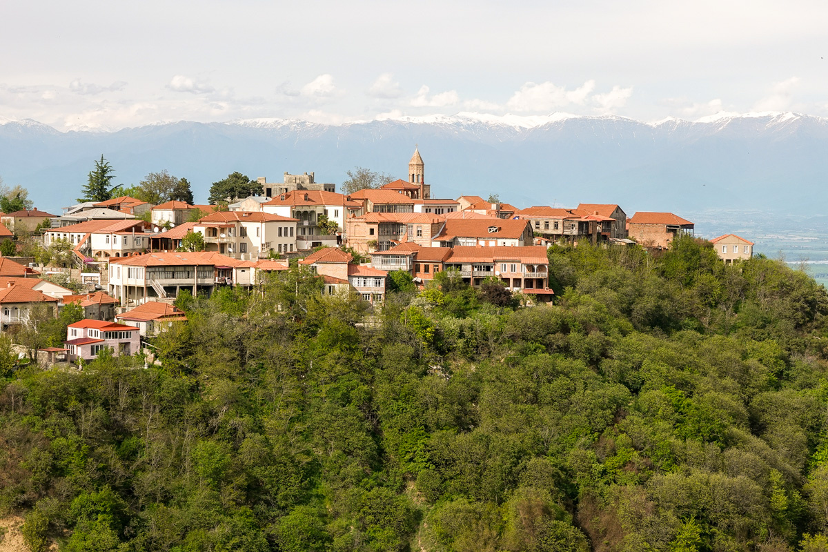Сигнахи. Фото автора статьи.