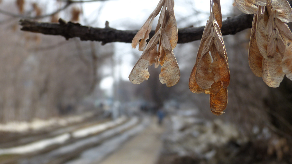 Взгляд из прошлого. Фотография автора