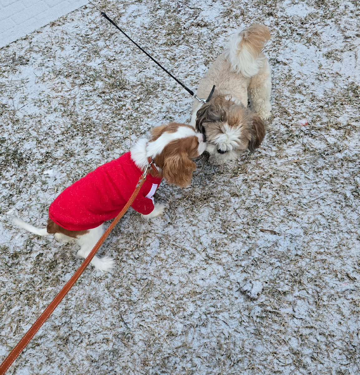 На прогулке