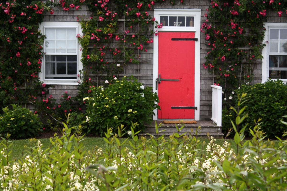 Designed by Freepik. Источник: www.freepik.com