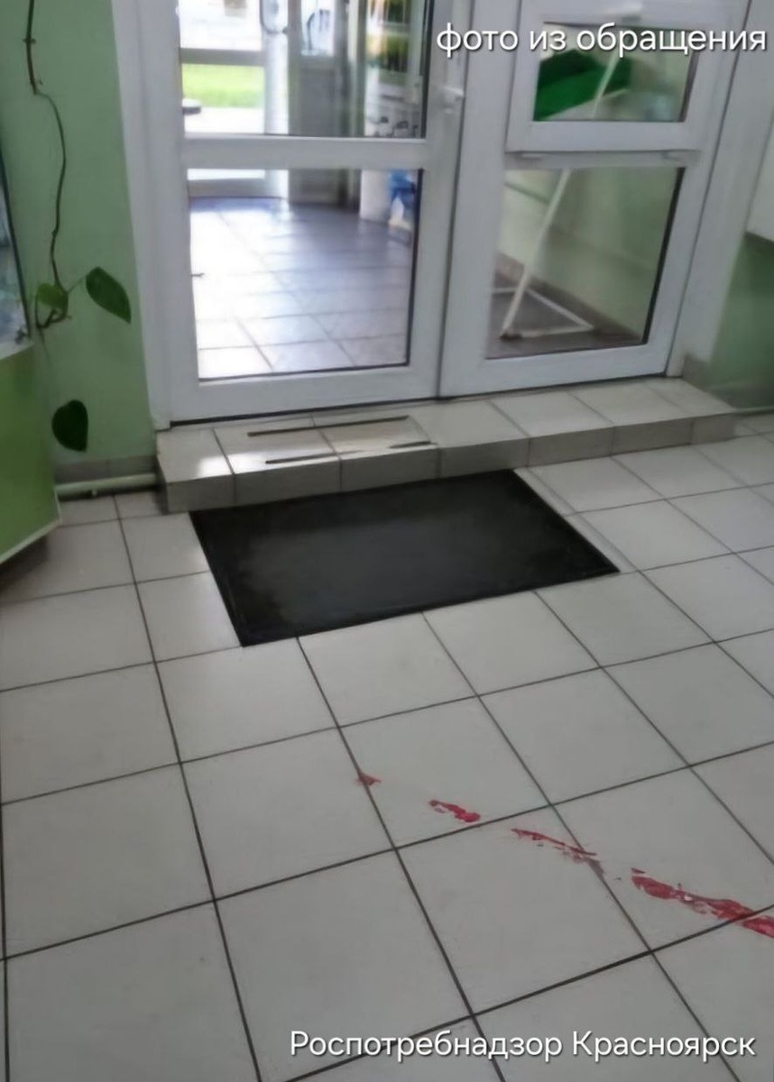    Фото: Роспотребнадзор Красноярск (из обращения)