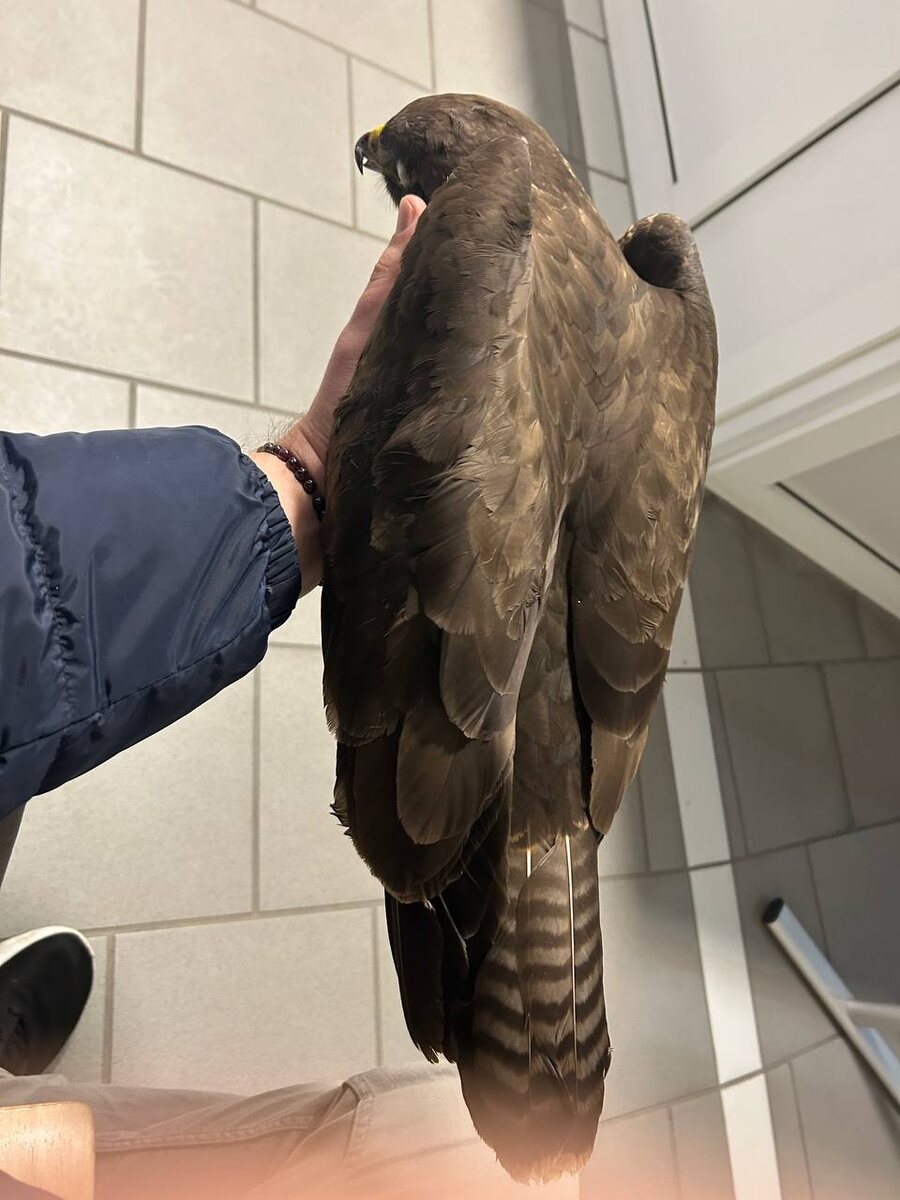 Фото предоставлено автором