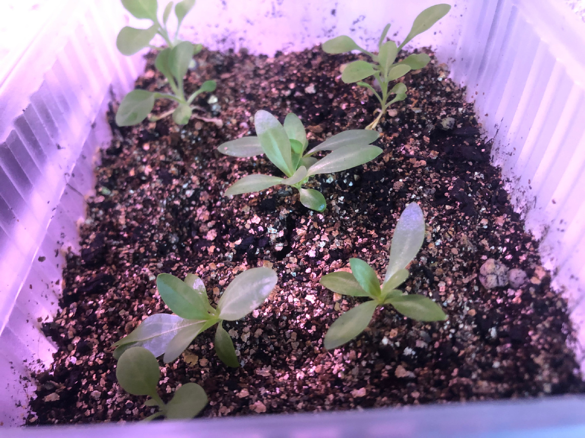 Люблю тебя дорогая. Как предложить девушке встречаться в переписке. Открытки ты мне дорога. Как моему любимому на том свете. Как моему любимому на том свете.