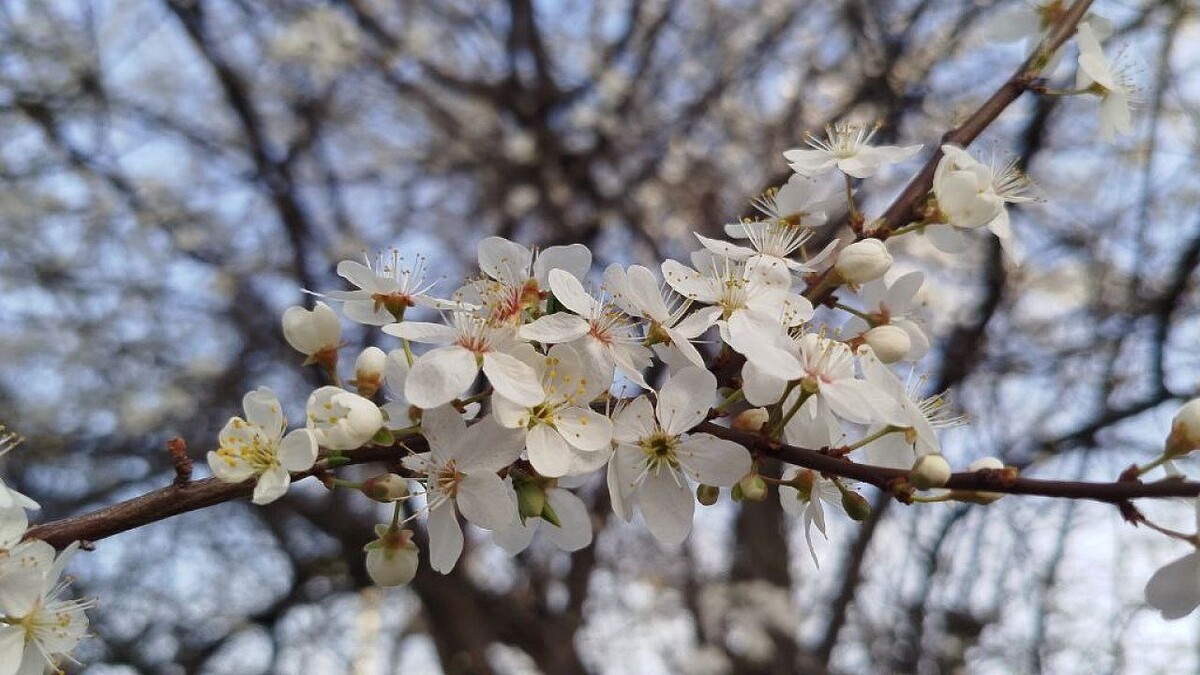    Фото: телеканал «Краснодар»