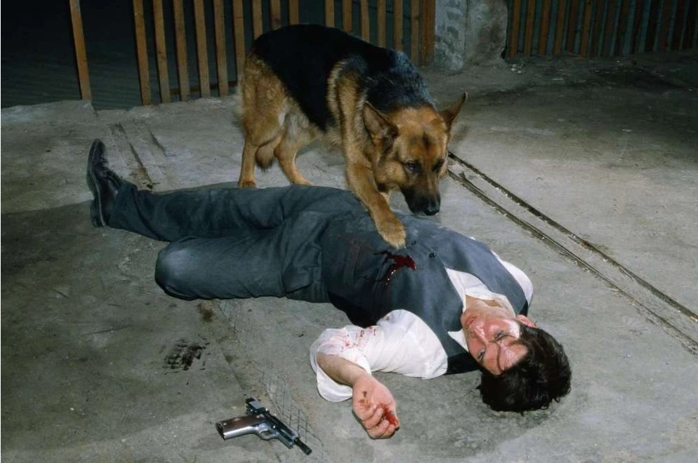 Кадр из серии "смерть Мозера"