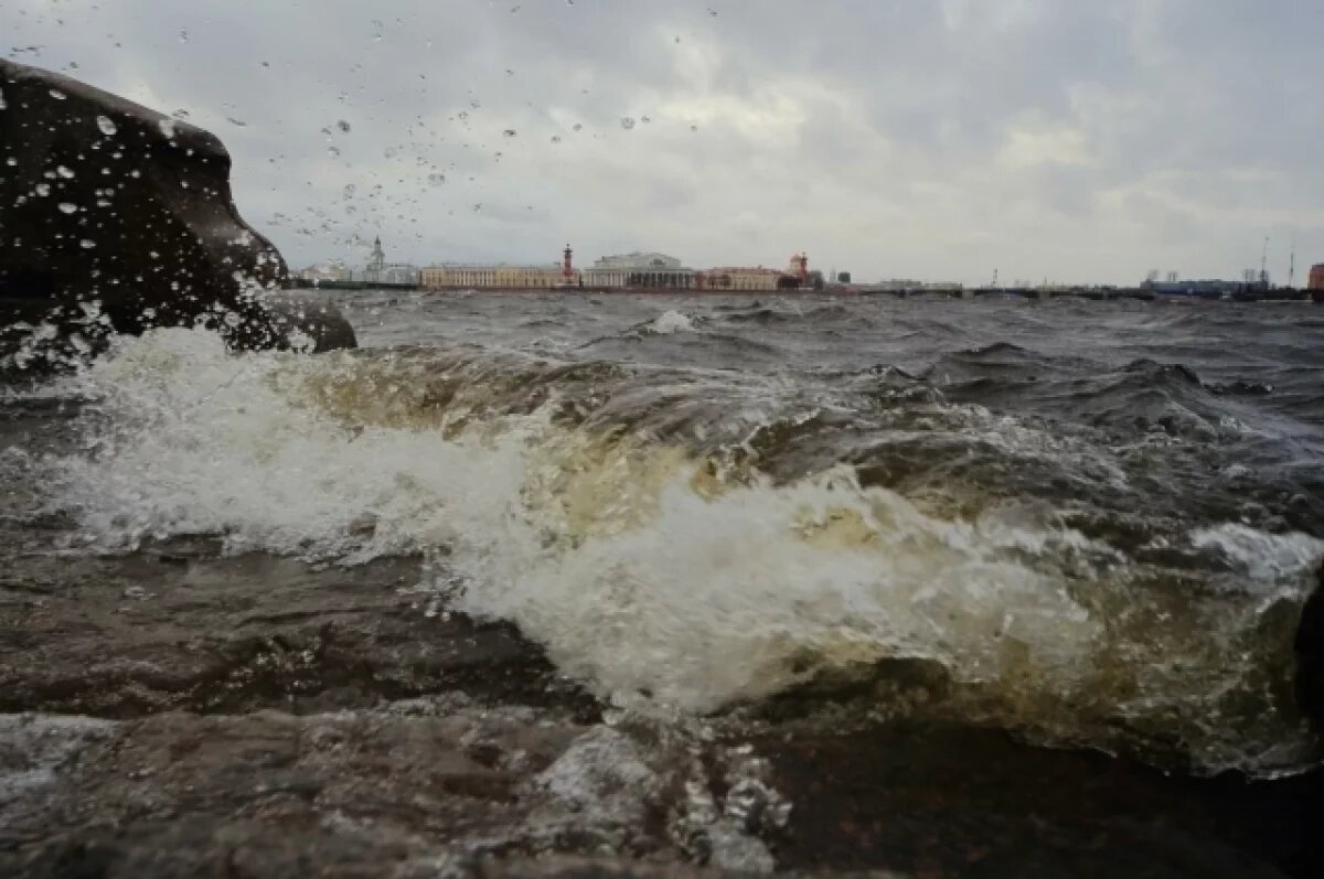    В России обновят план адаптации к изменению климата