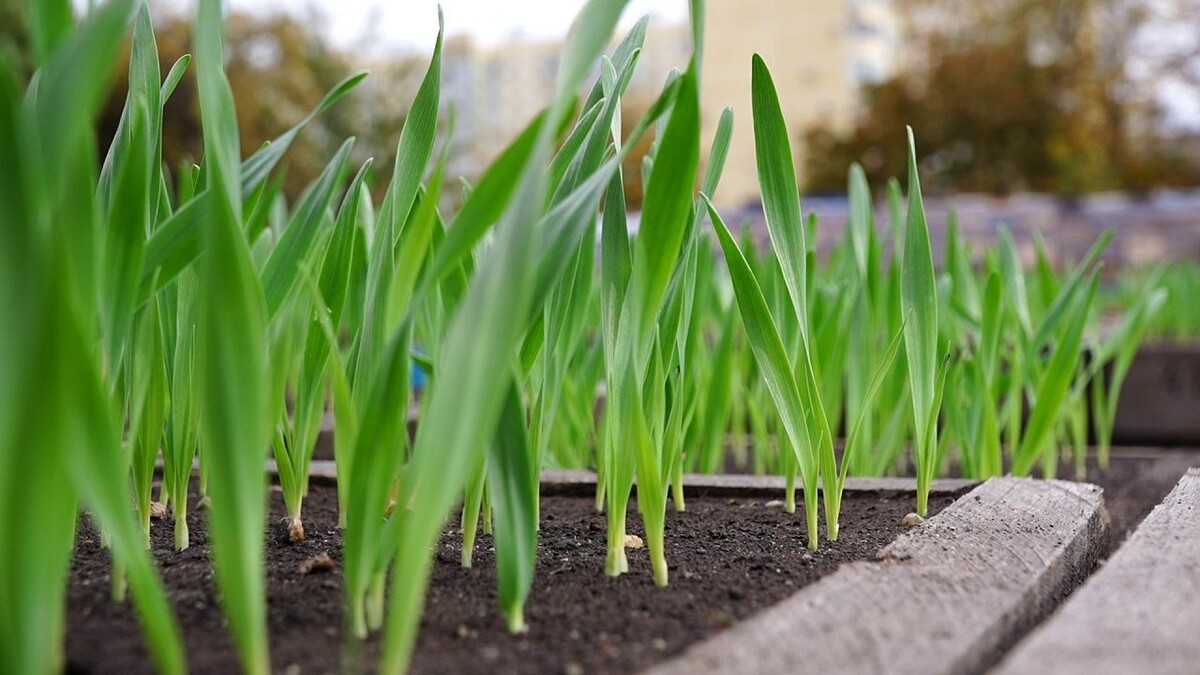    Фото: телеканал «Краснодар»