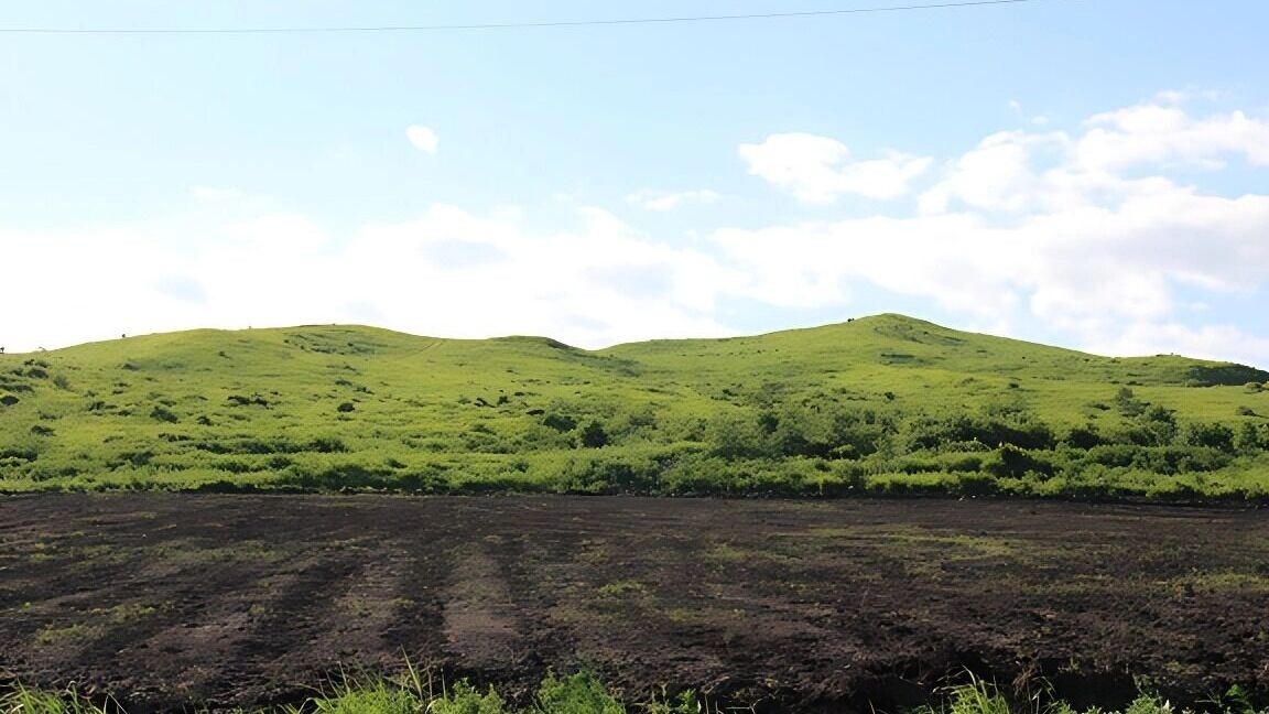     Источник: 1MI