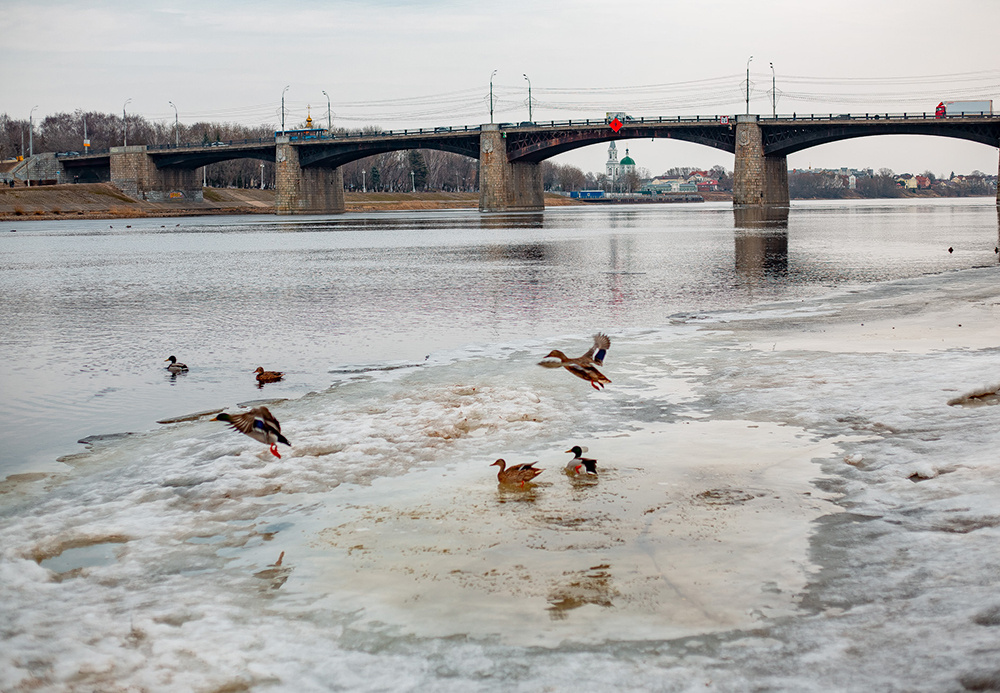Погода в Твери 17 марта. Морозно