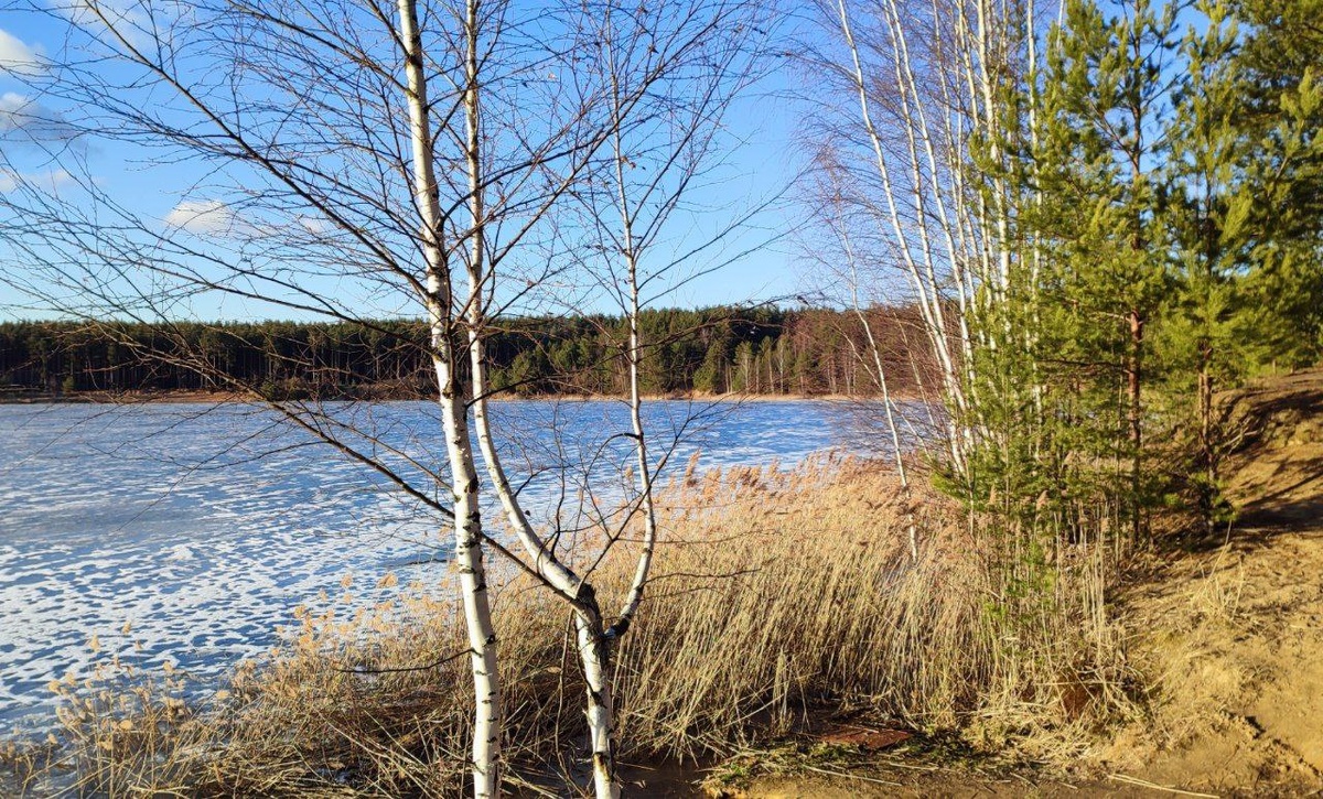 Тишь, гладь, благодать