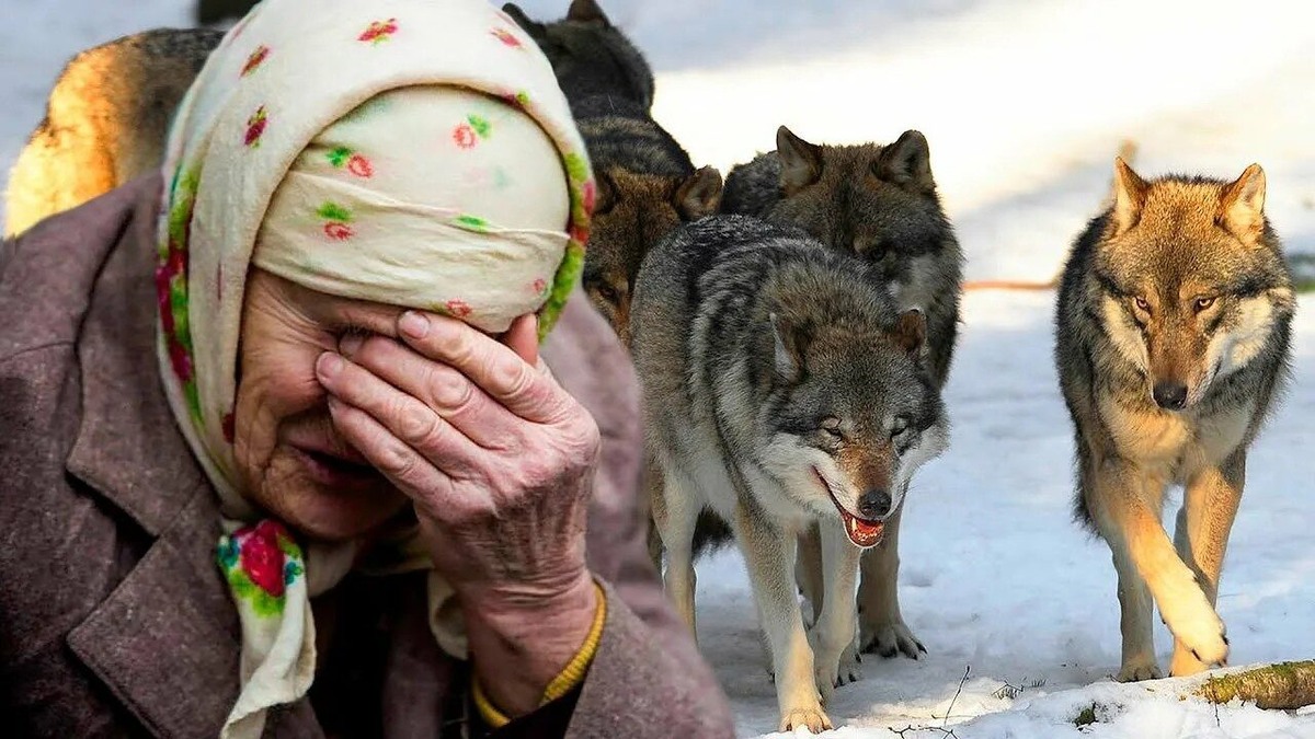 Фото из Яндекса