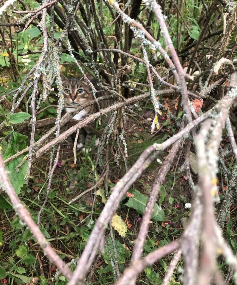 Вот так и сидела