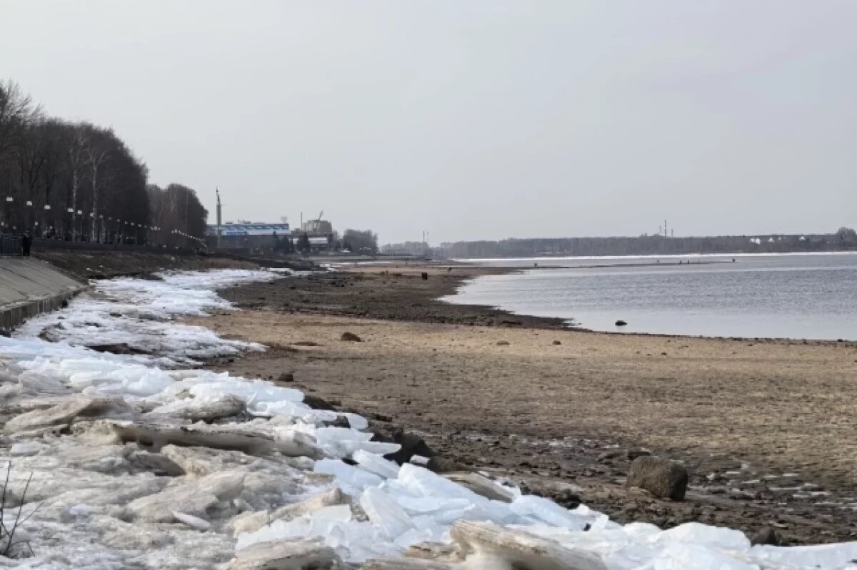    Стало известно, почему обмелела Волга в Ярославской области