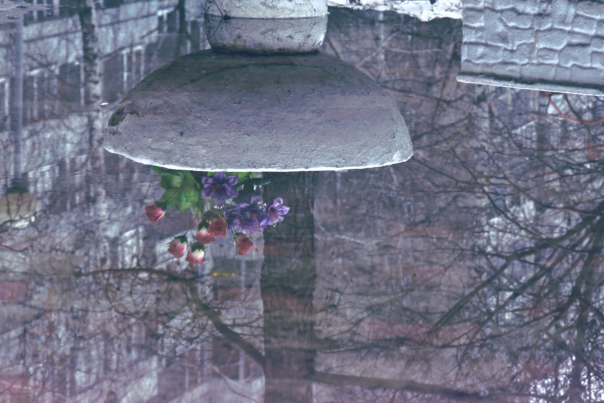 "Смысл Бытия". Копирование фотографий запрещено. Контент является интеллектуальной собственностью. Защищён авторским правом.