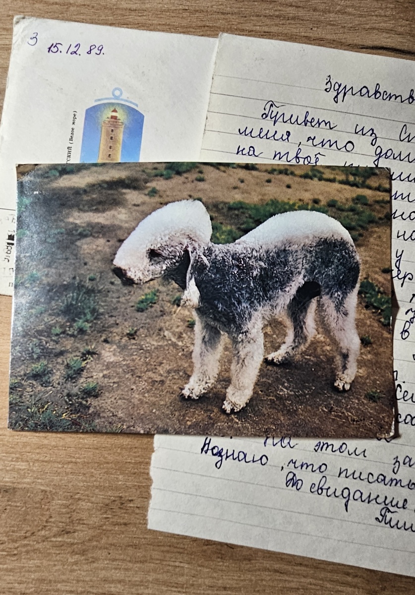 Письмо от Ольги (фотография автора).