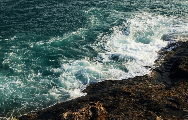    Shutterstock/FOTODOM