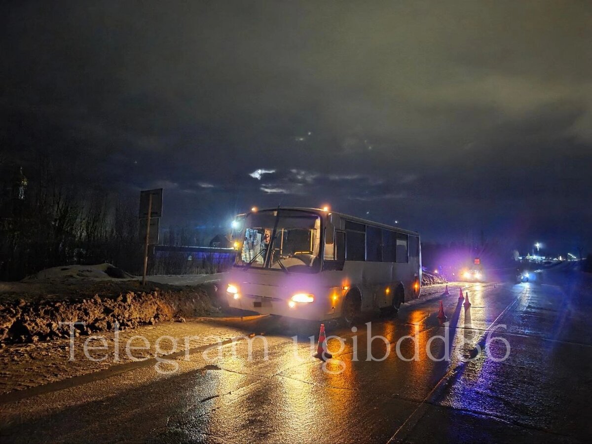    В Мегионе водитель автобуса на региональной трассе сбил пешехода