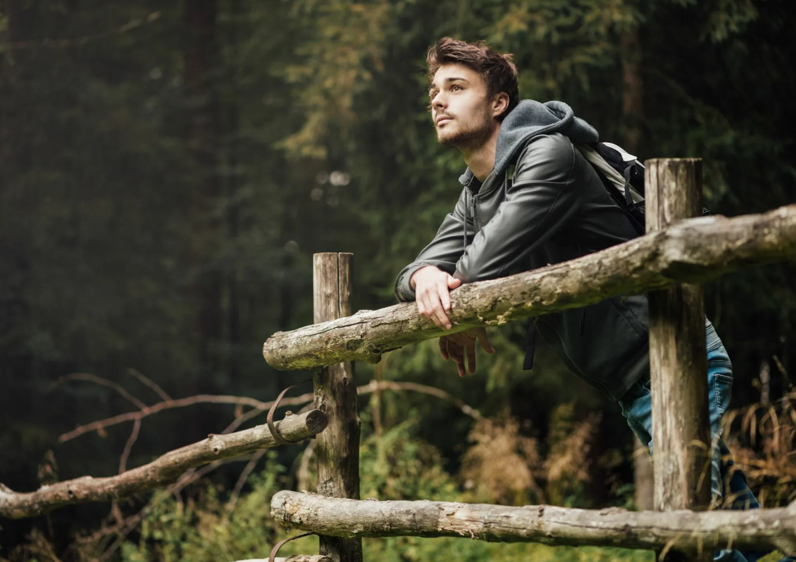 Яндекс картинки