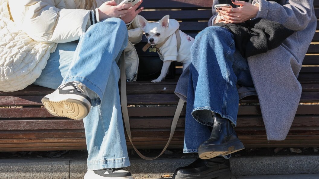    Фото: Belkin Alexey/news.ru/Globallookpress