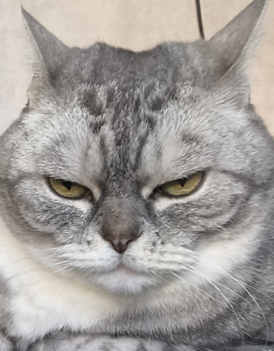 Фото для обложки, отражает настроение