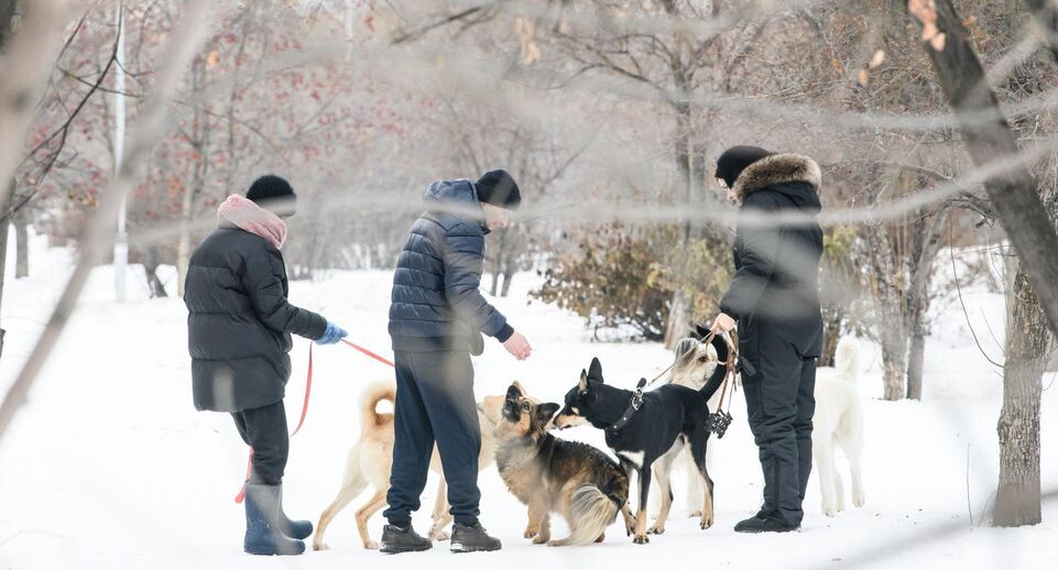    Ilya Moskovets/URA.RU / www.globallookpress.com