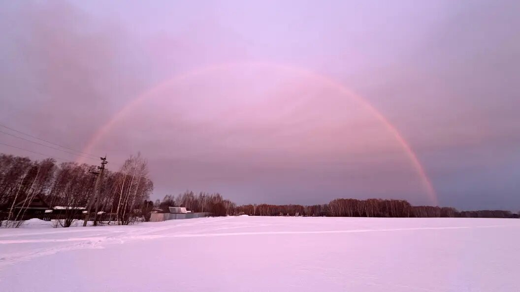    Фото: предоставлено "Царьград Новосибирск" Натальей Князевой