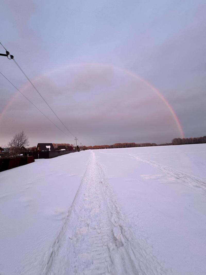    Фото: предоставлено "Царьград Новосибирск" Натальей Князевой