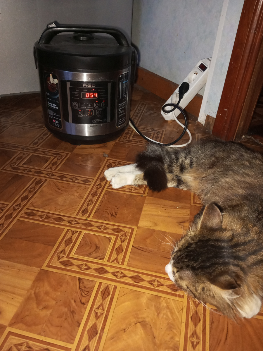 Охраняет мультиварку