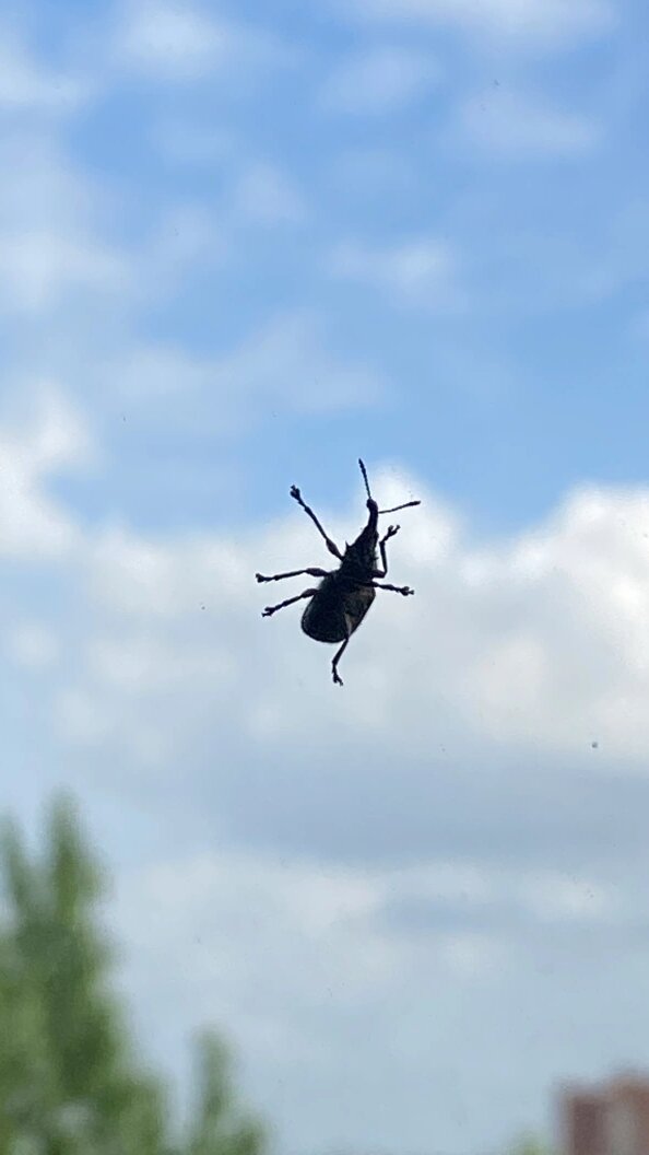    Фото: Alexander Legky/Global Look Press/Globallookpress