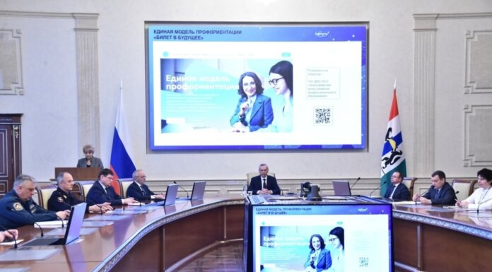    Заседание регионального правительства по вопросам профориентации. Фото: пресс-служба правительства Новосибирской области