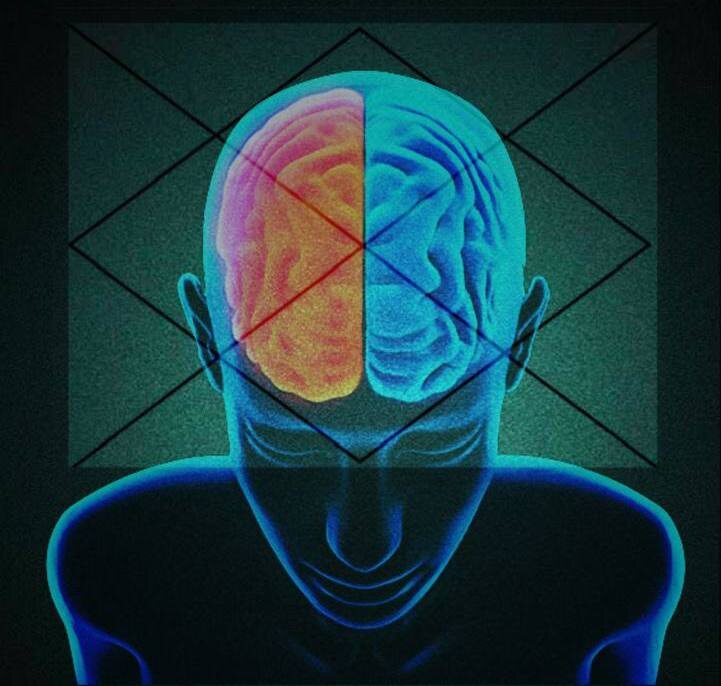 Натальная карта в ведической астрологии=проекция головного мозга