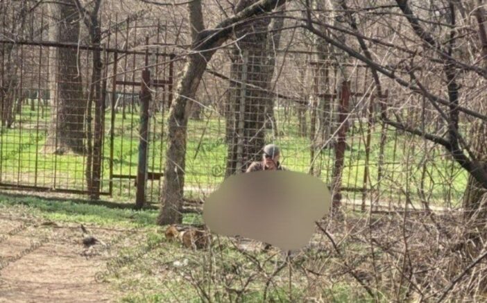    Место происшествия / Полиция Краснодара