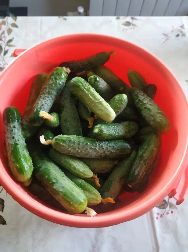 Фото Натальи Мироновой