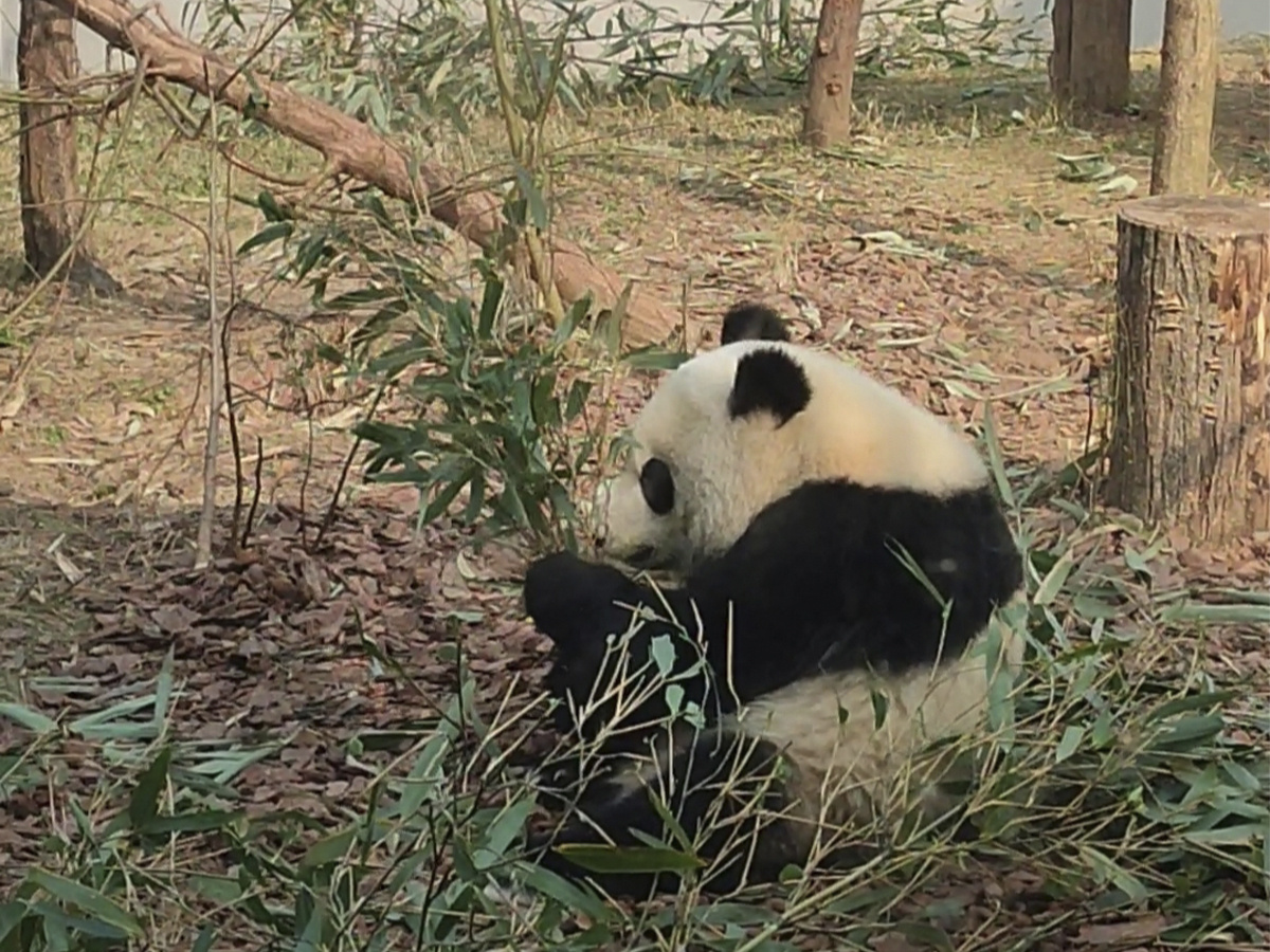 Ну разве не стоят