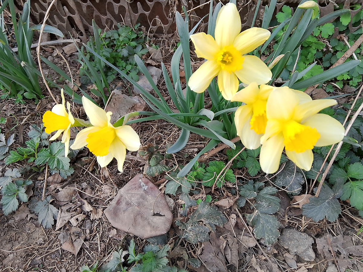 Фото личное.