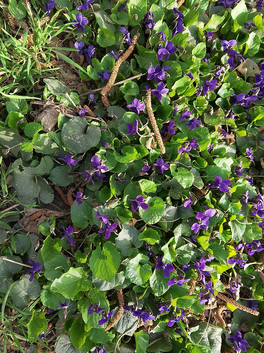 Фото личное. 