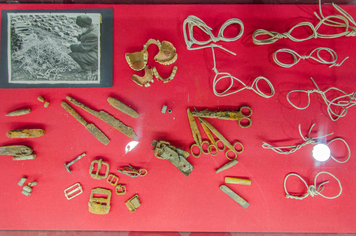 Фото: Наталья Райхель 