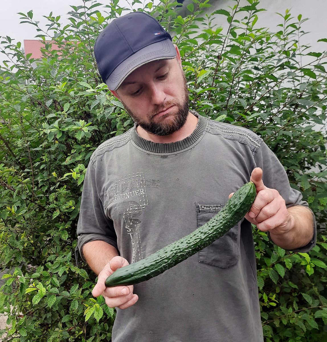 У меня вот такой, а у вас? ;-)