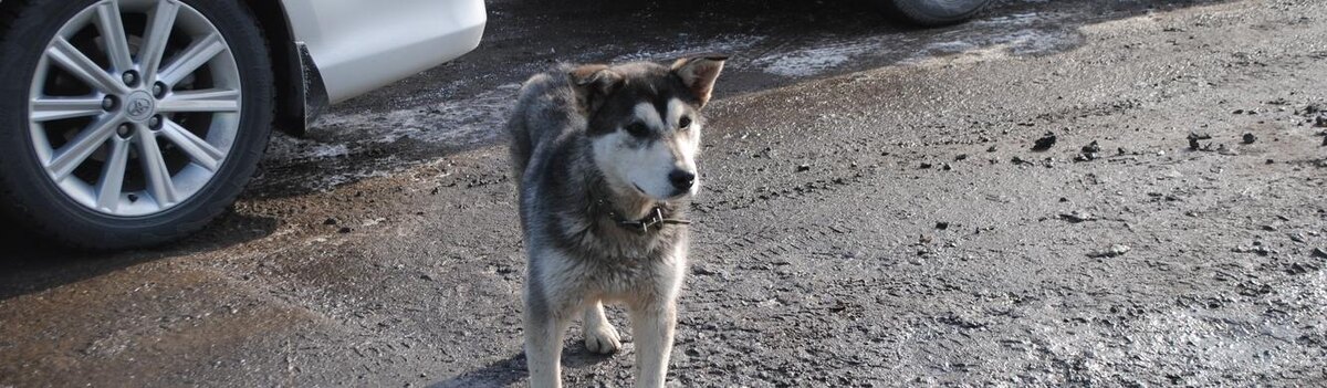    Фото: Анна Григор
