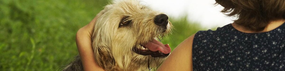    Фото: Сергей Егоров