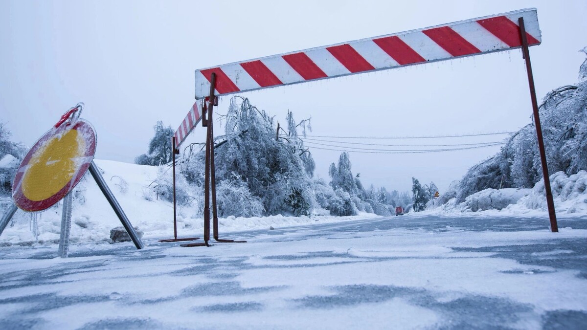    Фото: zlikovec/Shutterstock/Fotodom