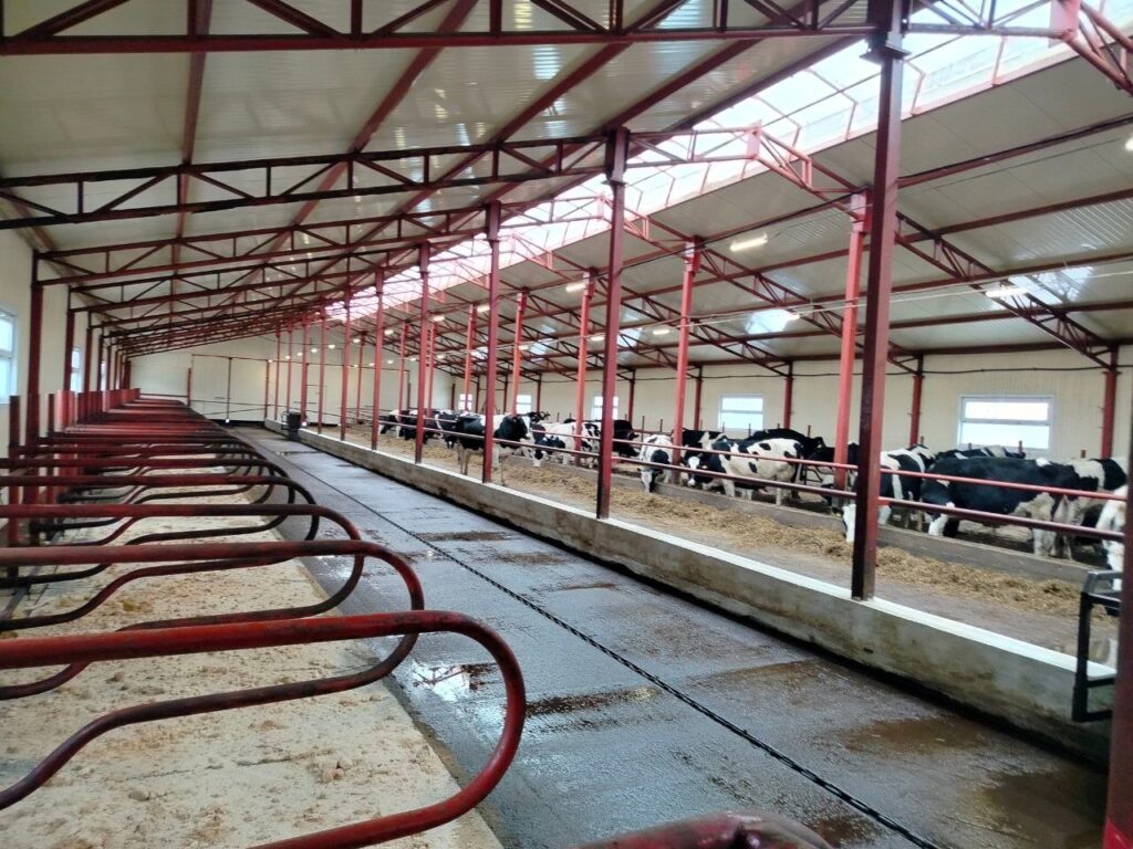    Фото: Администрация Юсьвинского округа/VK Ульяна Бажанова